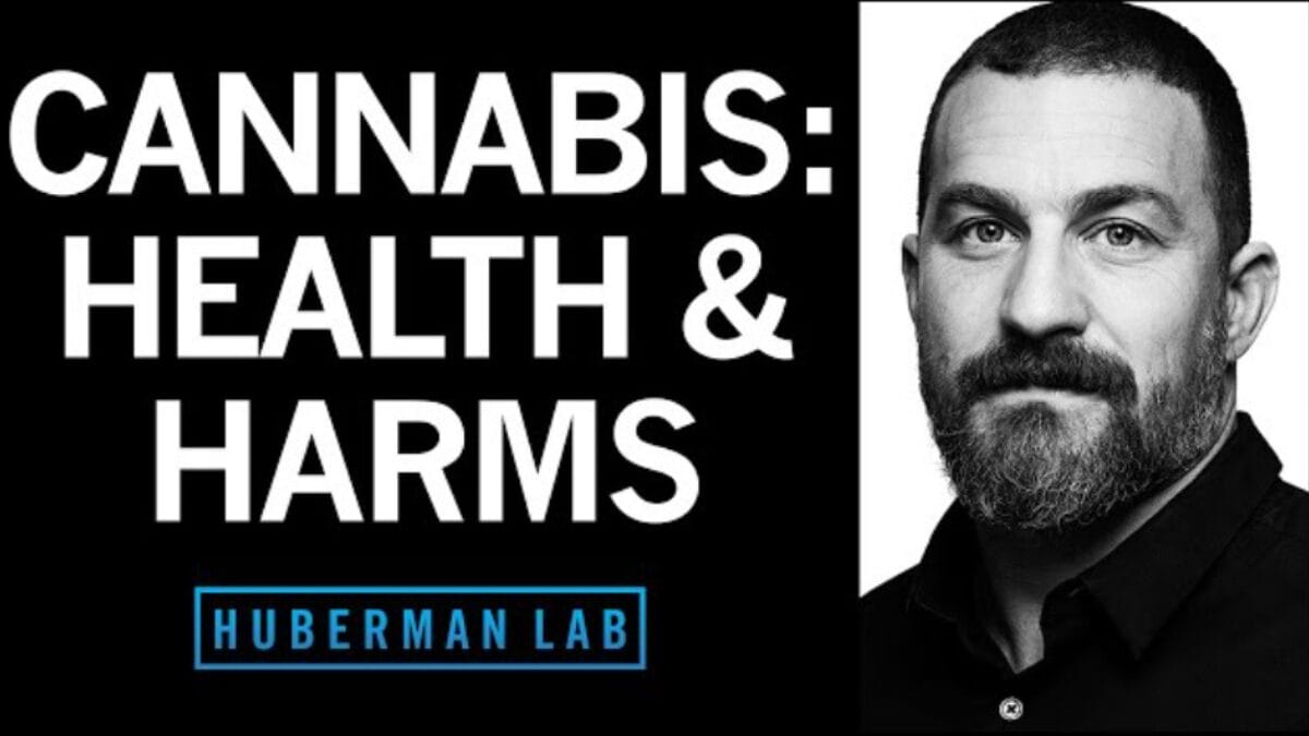 Cover photo for Dr. Andrew Huberman - The Effects of Cannabis (Marijuana) on the Brain & Body