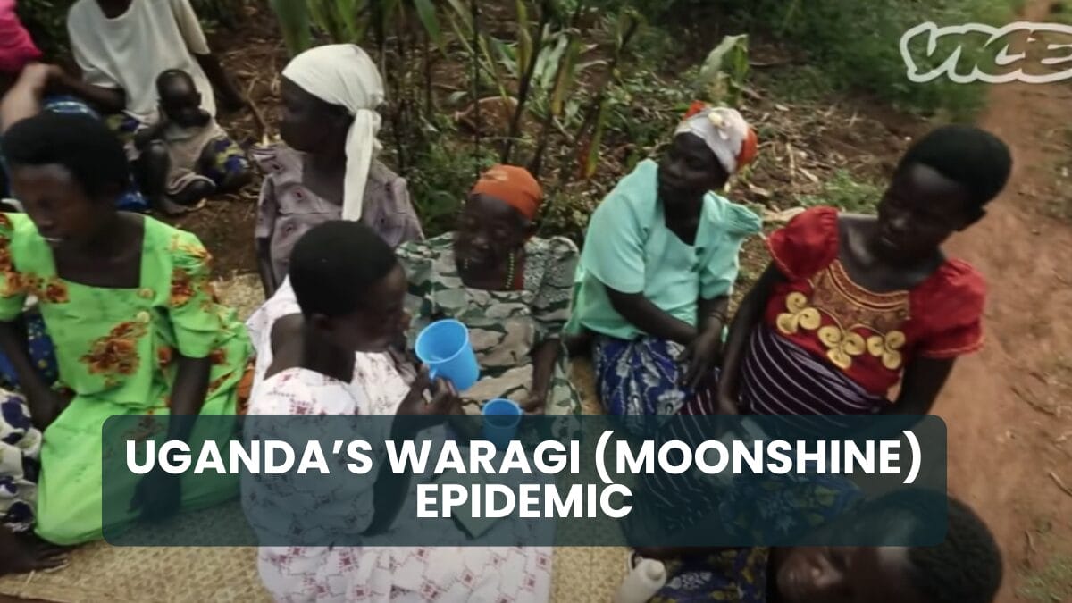 Cover photo for Uganda’s Waragi (Moonshine) Epidemic