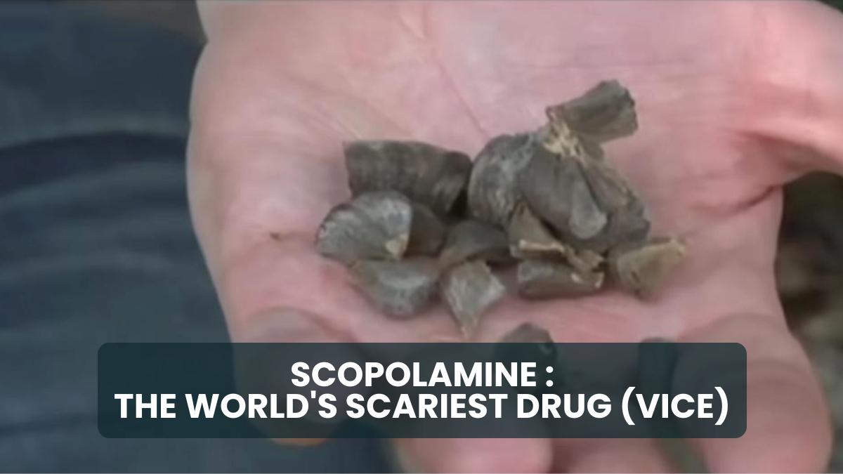 An open palm with the seeds from the plant that produces the Scopolamine drug, with the title, Scopolamine - The World's Scariest Drug (VICE)