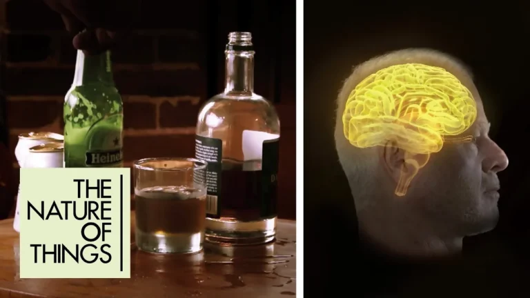 Screenshot from Wasted documentary about Alcoholics Anonymous, Alcohol Addiction, & Evidence-Based Treatments