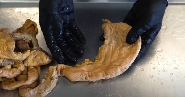 Image of a stomach, post-mortem, showing the effects of alcohol.